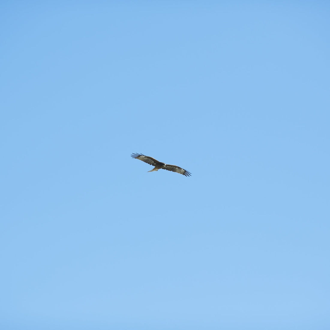 株式会社Cland様に、プロモーションビデオを撮影して頂きました