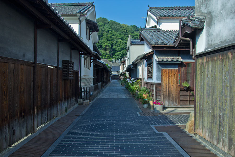 竹原の町並み保存地区に続く石畳の通り