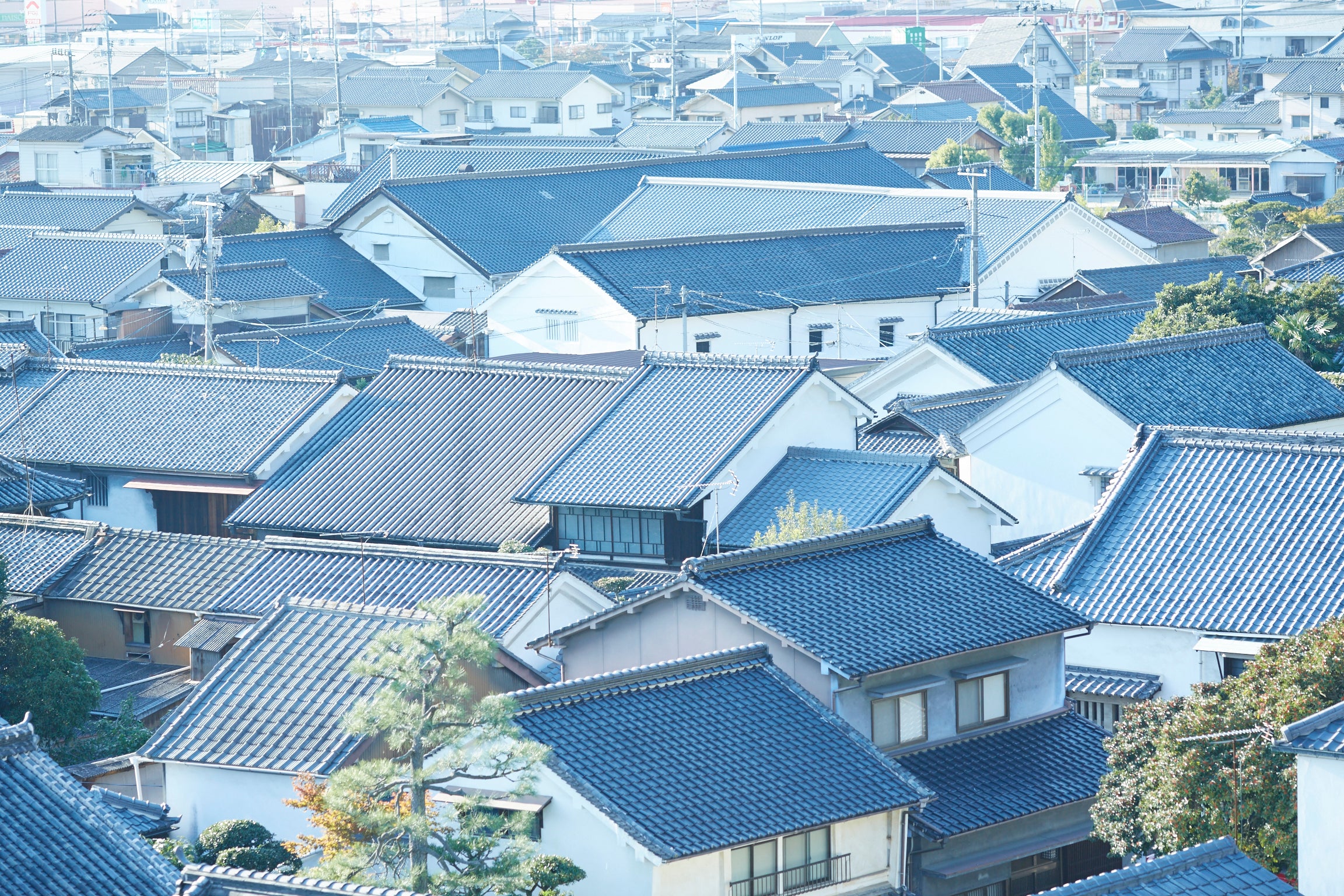 藤井酒造について｜広島・竹原の生酛と蔵付きの力